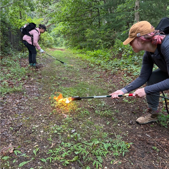 Meet your Posher, Melody - Picture 4 of 10